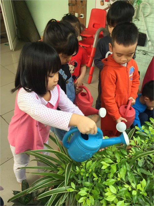 Các bé lớp mẫu giáo lớn A3 học kỹ năng chăm sóc cây xanh 